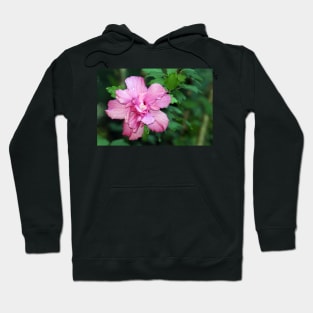 Dewy, lake flower Hoodie